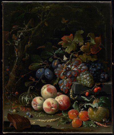 Stillleben mit Früchten, Laub und Insekten, c.1669 von Abraham Mignon